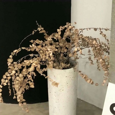 麻栗坡FurryQQ群介绍